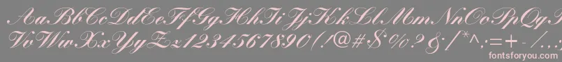 WynnerockscriptBlack Font – Pink Fonts on Gray Background