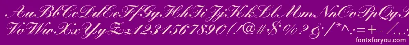 More about WynnerockscriptBlack Font WynnerockscriptBlack Font – Pink Fonts on Purple Background