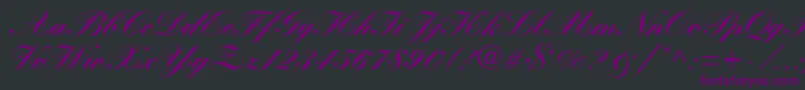 WynnerockscriptBlack Font – Purple Fonts on Black Background