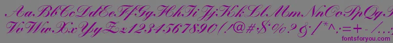 WynnerockscriptBlack Font – Purple Fonts on Gray Background