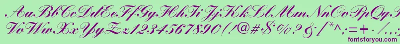 Saiba mais sobre a fonte WynnerockscriptBlack Fonte WynnerockscriptBlack – fontes roxas em um fundo verde