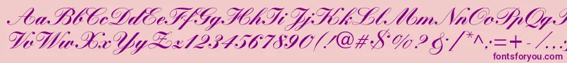 More about WynnerockscriptBlack Font WynnerockscriptBlack Font – Purple Fonts on Pink Background