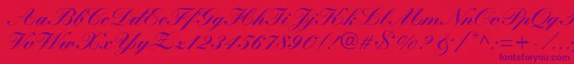 WynnerockscriptBlack Font – Purple Fonts on Red Background
