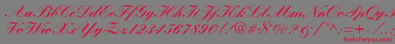 WynnerockscriptBlack Font – Red Fonts on Gray Background