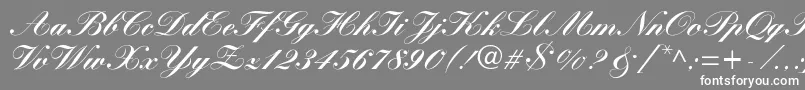 Fonte WynnerockscriptBlack – fontes brancas em um fundo cinza