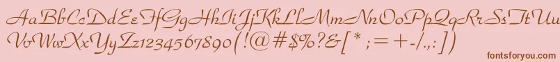 ParkavenuebtRegular Font – Brown Fonts on Pink Background