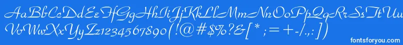 ParkavenuebtRegular Font – White Fonts on Blue Background