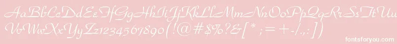 ParkavenuebtRegular Font – White Fonts on Pink Background