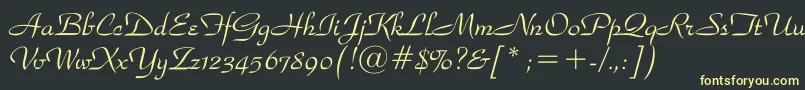 ParkavenuebtRegular Font – Yellow Fonts on Black Background