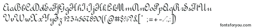 RondoCalligraphic-fontti – Akriibiset fontit