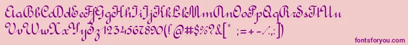 RondoCalligraphic-Schriftart – Violette Schriften auf rosa Hintergrund