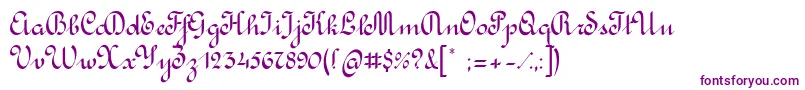 Подробнее о шрифте RondoCalligraphic Шрифт RondoCalligraphic – фиолетовые шрифты на белом фоне