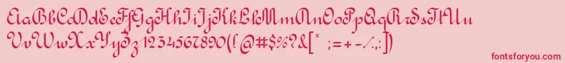 RondoCalligraphic Font – Red Fonts on Pink Background