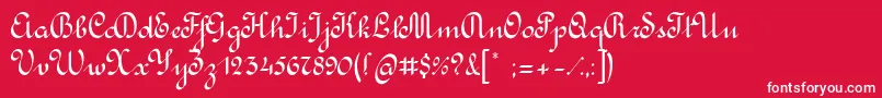 RondoCalligraphic Font – White Fonts on Red Background