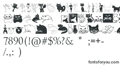Catcrypt font – Fonts Animals