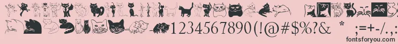 Catcrypt-Schriftart – Schwarze Schriften auf rosa Hintergrund