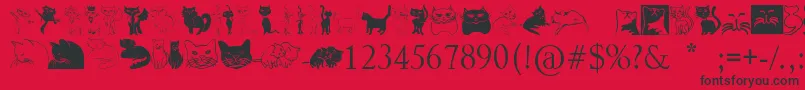 Catcrypt-Schriftart – Schwarze Schriften auf rotem Hintergrund