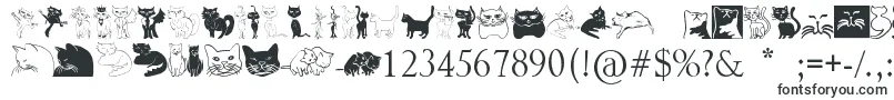 Catcrypt Font – Animal Fonts