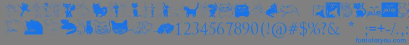 Catcrypt-Schriftart – Blaue Schriften auf grauem Hintergrund