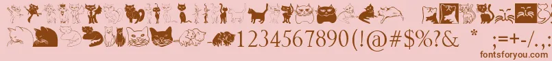 Catcrypt Font – Brown Fonts on Pink Background