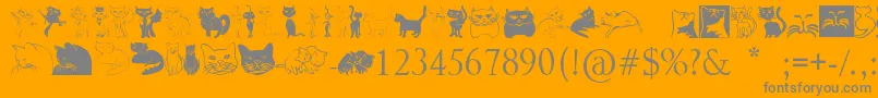 Catcrypt-Schriftart – Graue Schriften auf orangefarbenem Hintergrund