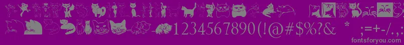 Catcrypt-Schriftart – Graue Schriften auf violettem Hintergrund