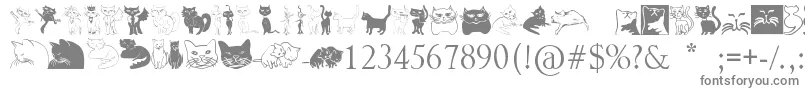 Catcrypt Font – Gray Fonts