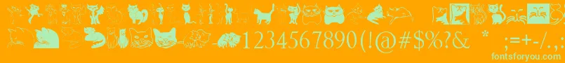 Catcrypt Font – Green Fonts on Orange Background