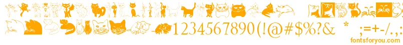 Catcrypt Font – Orange Fonts