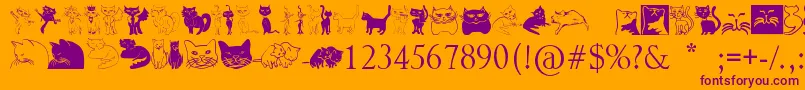 Catcrypt Font – Purple Fonts on Orange Background