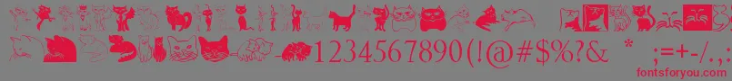 Catcrypt Font – Red Fonts on Gray Background