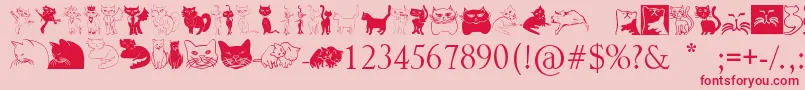 Catcrypt-Schriftart – Rote Schriften auf rosa Hintergrund