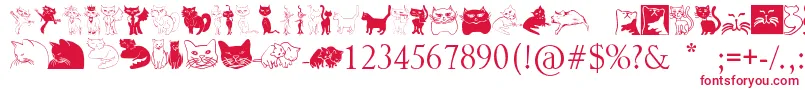 Catcrypt Font – Red Fonts on White Background