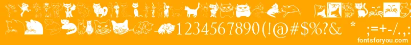 Catcrypt-Schriftart – Weiße Schriften auf orangefarbenem Hintergrund