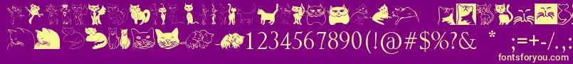 Catcrypt-Schriftart – Gelbe Schriften auf violettem Hintergrund