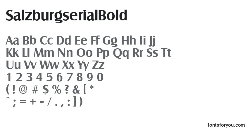 Czcionka SalzburgserialBold – alfabet, cyfry, specjalne znaki