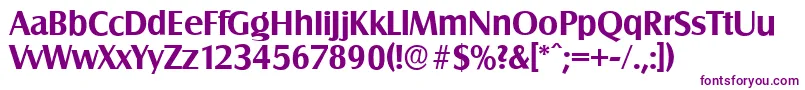 SalzburgserialBold Font – Purple Fonts
