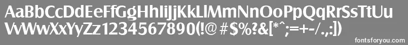 SalzburgserialBold Font – White Fonts on Gray Background