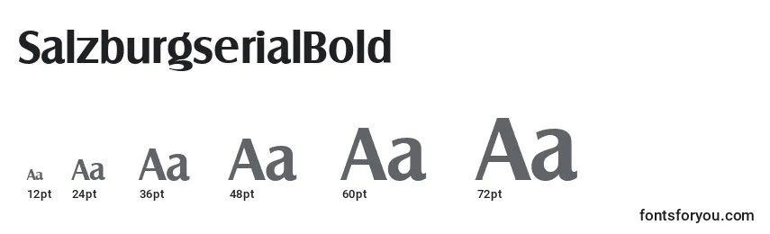 Размеры шрифта SalzburgserialBold