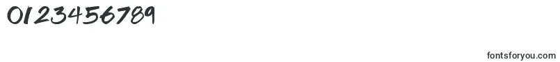 フォントBrook23 – 数字と数値のためのフォント
