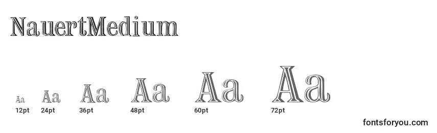 Размеры шрифта NauertMedium