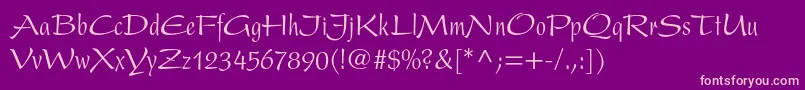 PresentltstdCondensed Font – Pink Fonts on Purple Background