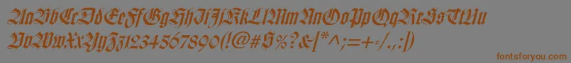 Шрифт WilhelmklingsporgotischItalic – коричневые шрифты на сером фоне