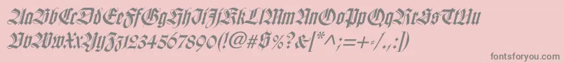 WilhelmklingsporgotischItalic Font – Gray Fonts on Pink Background