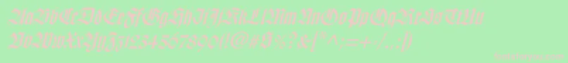 WilhelmklingsporgotischItalic Font – Pink Fonts on Green Background