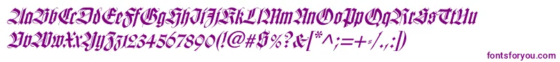 WilhelmklingsporgotischItalic Font – Purple Fonts