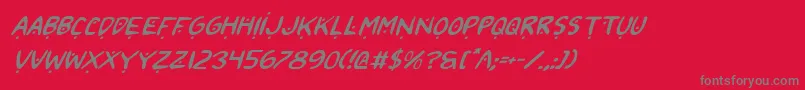 2toon2Italic-Schriftart – Graue Schriften auf rotem Hintergrund
