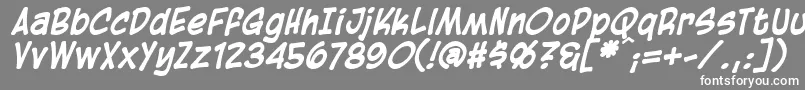 BlambotCasualBolditalic Font – White Fonts on Gray Background