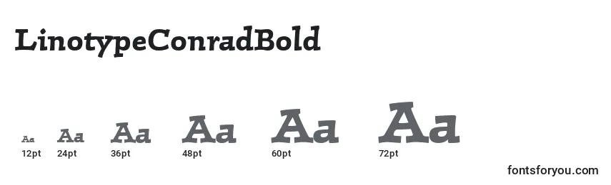 Rozmiary czcionki LinotypeConradBold