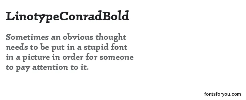 Шрифт LinotypeConradBold